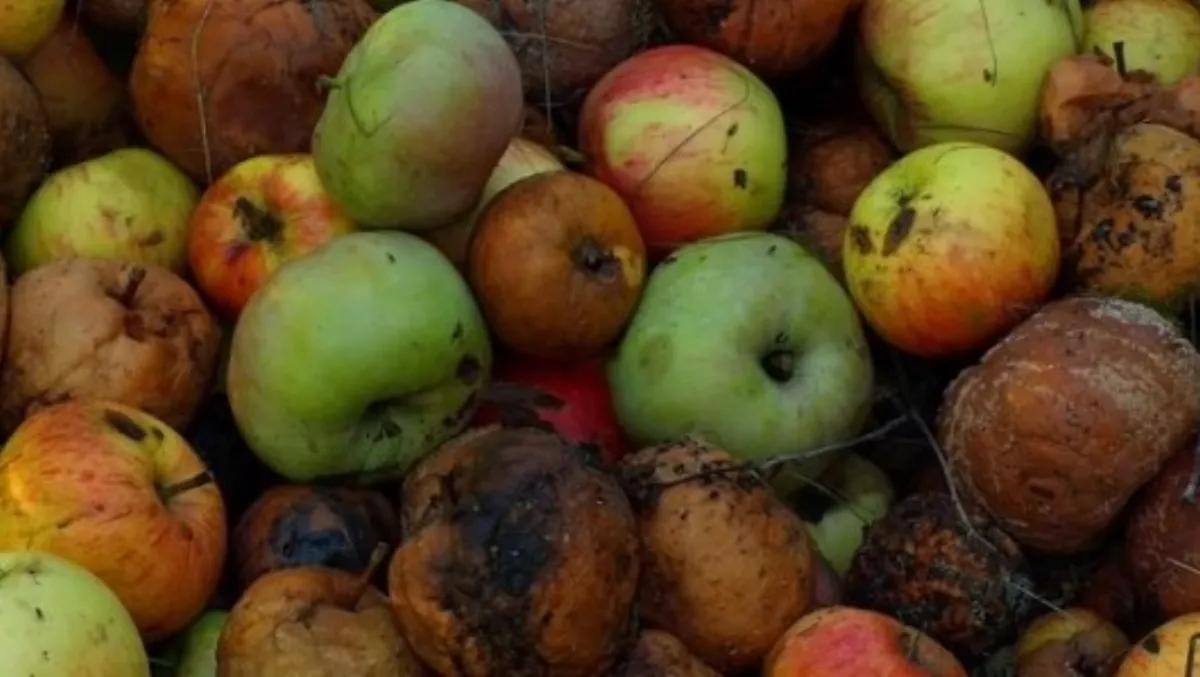 Bag of apples