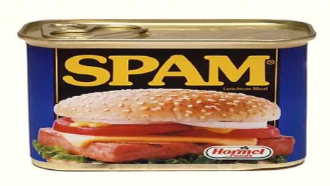 Spam can