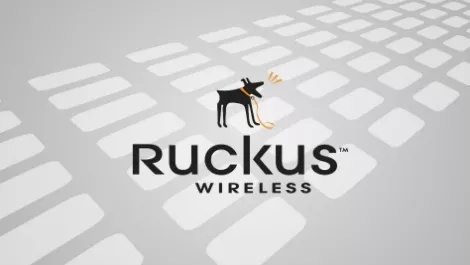 Partner ruckus