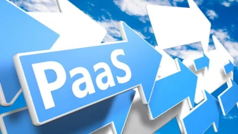 UltraServe highlights PaaS growth with rapid expansion
