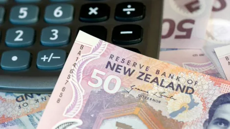Nz money calculator