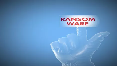 Thinkstockphotos 538646904