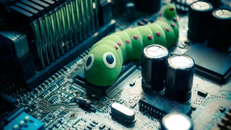 Worm in computer