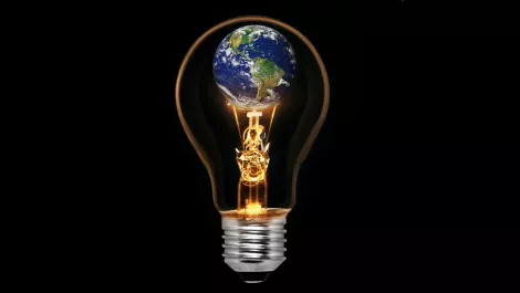 Bulb