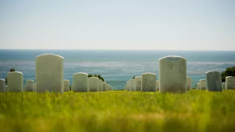 Screen shot 2017 05 05 at 4