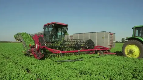 Cutting corners costs cropping company