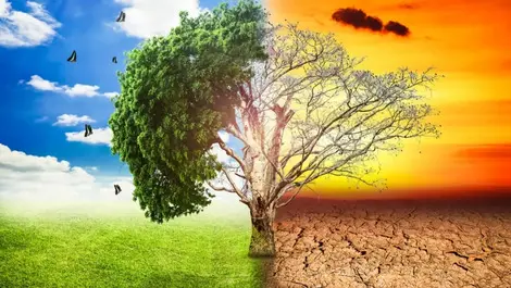 Flexible decision-making tactics for climate change