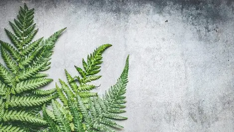 ‘Green’ concrete set to revolutionise the construction industry