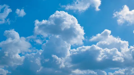 Gettyimages dv027049